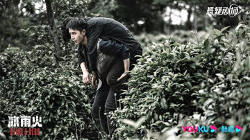 обоя кино фильмы, being a hero, чэнь, юй, человек, кусты