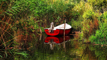 обоя корабли, моторные лодки, затока, моторная, лодка, камыши