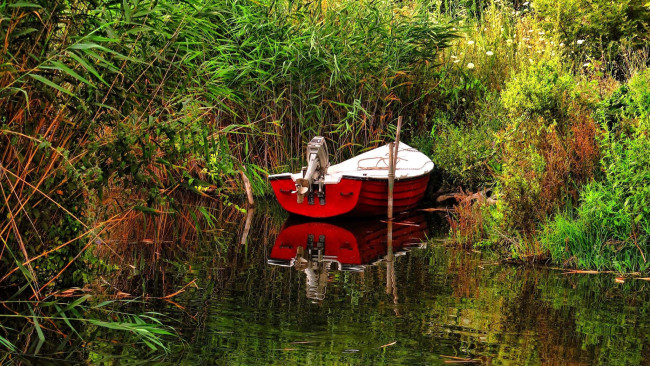 Обои картинки фото корабли, моторные лодки, затока, моторная, лодка, камыши