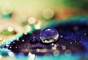 обоя разное, капли,  брызги,  всплески, роса