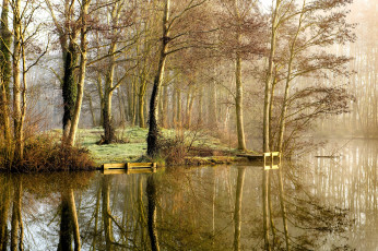 Картинка природа реки озера осень лес листья деревья туман озеро