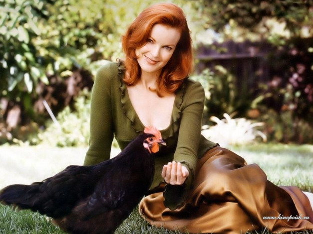 Обои картинки фото Marcia Cross, марсия, кросс, девушки