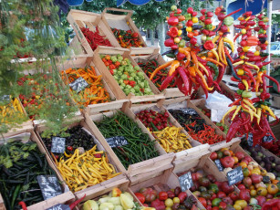 Картинка еда овощи