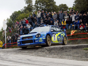 Картинка спорт авторалли