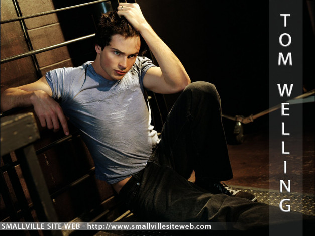 Обои картинки фото мужчины, tom, welling