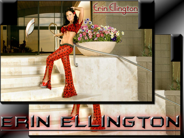 Обои картинки фото Erin Ellington, девушки