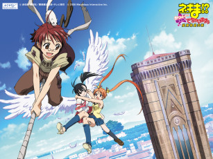 Картинка аниме mahou sensei negima