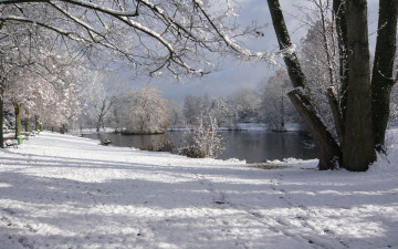 Картинка природа зима