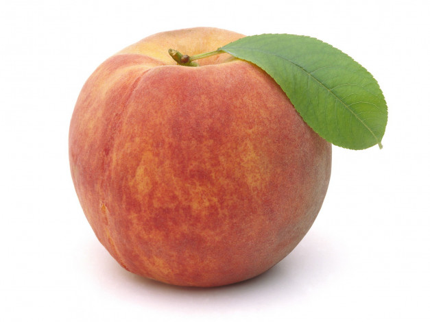 Обои картинки фото еда, персики, сливы, абрикосы