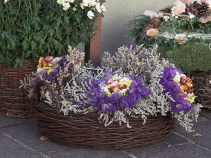 Картинка цветы букеты композиции