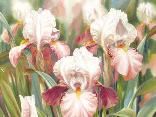 Картинка darryl trott рисованные