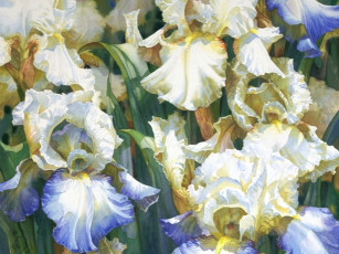 Картинка darryl trott рисованные