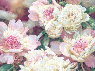 Картинка darryl trott рисованные