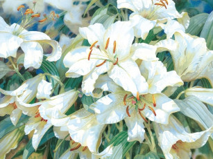 Картинка darryl trott рисованные