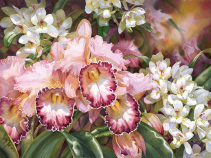 Картинка darryl trott рисованные