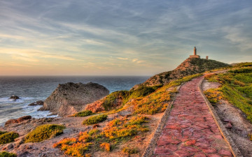 Картинка природа маяки