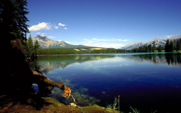 Картинка природа реки озера