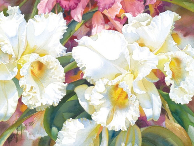 Обои картинки фото darryl, trott, рисованные