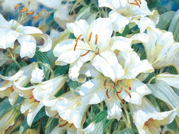 Обои картинки фото darryl, trott, рисованные