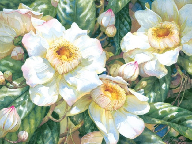 Обои картинки фото рисованные, цветы