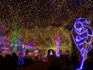 Картинка праздничные новогодние пейзажи