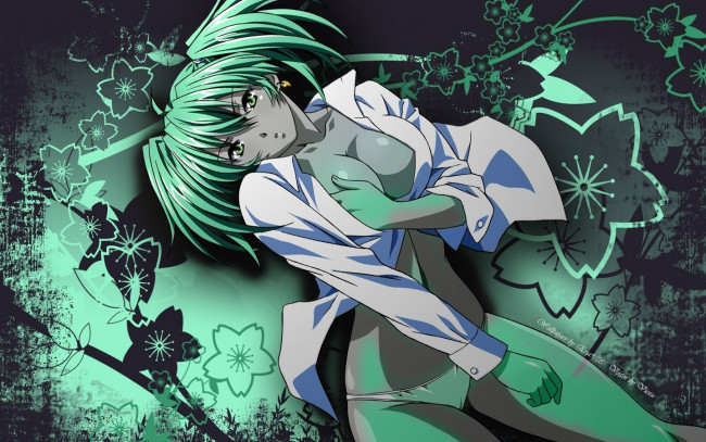 Обои картинки фото аниме, ikki, tousen