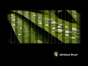 Картинка компьютеры windows vienna капли листья