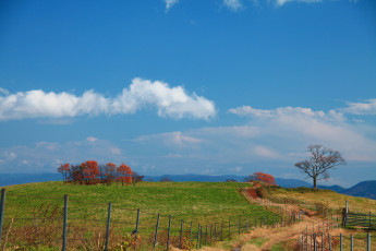 Картинка природа дороги забор деревья