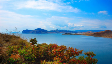 Картинка мисхор крым природа побережье море