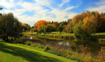 Картинка alberta канада природа реки озера река деревья побережье