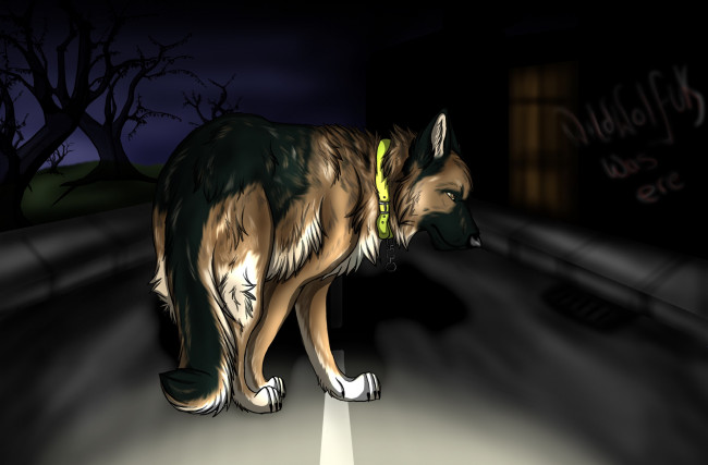 Обои картинки фото рисованные, животные, собаки, собака