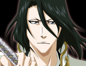 Картинка аниме bleach капитан бьякуя арт блич взгляд брюнет