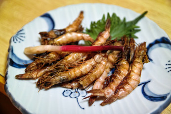 Картинка еда рыба +морепродукты +суши +роллы креветки