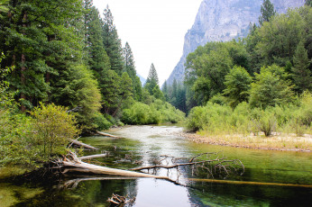 Картинка природа реки озера река лес