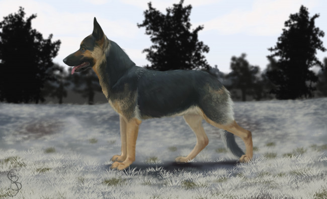 Обои картинки фото рисованное, животные,  собаки, взгляд, собака, фон