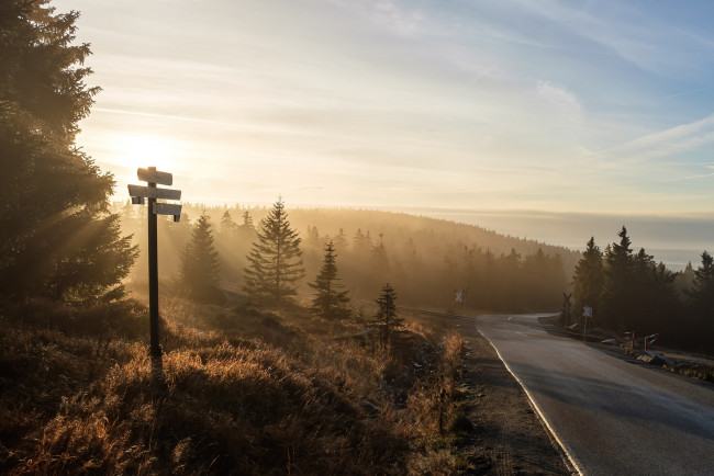 Обои картинки фото природа, дороги, утро, туман, дорога, пейзаж