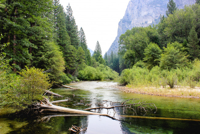 Обои картинки фото природа, реки, озера, река, лес