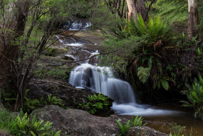 Обои картинки фото природа, водопады, лес, река, водопад