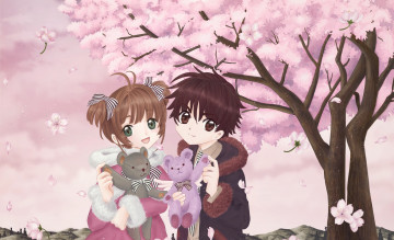 Картинка аниме card+captor+sakura взгляд фон девушка