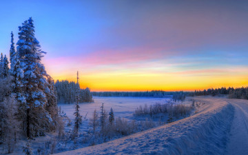 Картинка природа зима снег лес