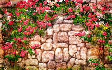 Картинка рисованное цветы арка стена