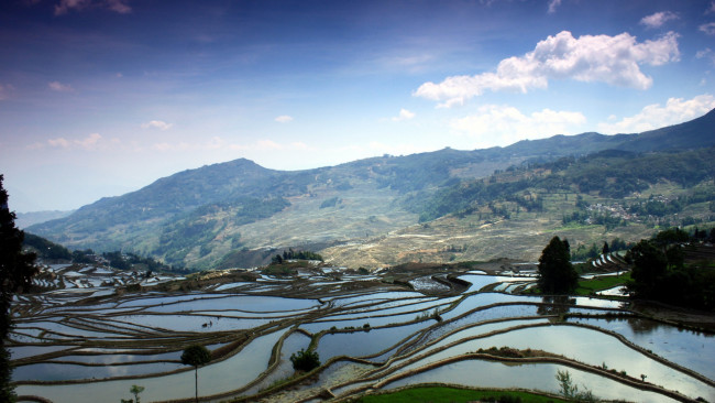 Обои картинки фото природа, пейзажи, терассы, поля, горы