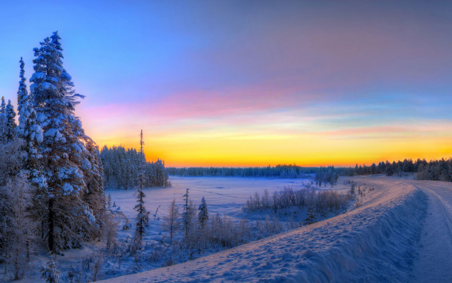 Обои картинки фото природа, зима, снег, лес