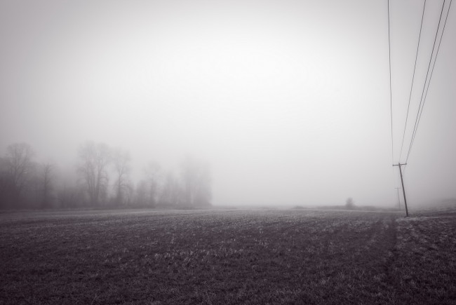 Обои картинки фото природа, поля, туман, поле, утро