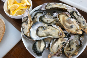 Картинка еда рыба +морепродукты +суши +роллы снедь