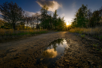 Картинка природа дороги простор