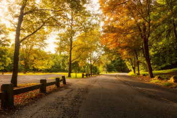 Картинка природа дороги простор