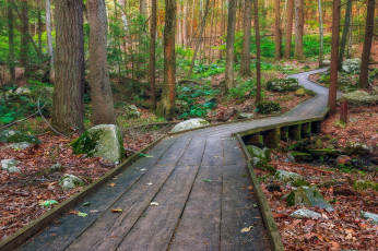 Картинка природа дороги простор