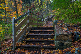 Картинка природа дороги простор