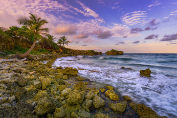 Картинка природа побережье простор